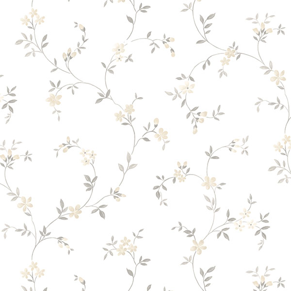 Patton Wallcoverings CK36604 Creative Kitchens Seed Trail Wallpaper